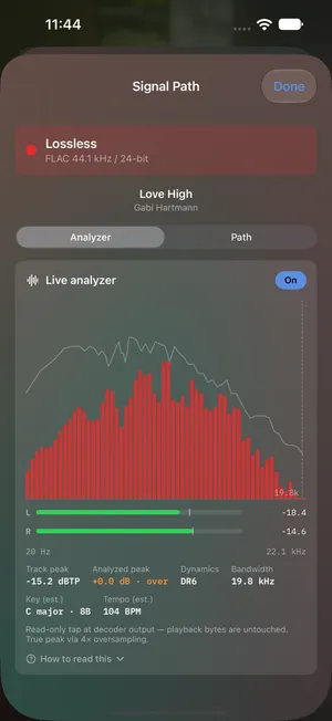 1-bit's live analyzer — a real-time spectrum with left and right peak bars, track peak, analyzed peak, dynamics, bandwidth, and estimated key and tempo