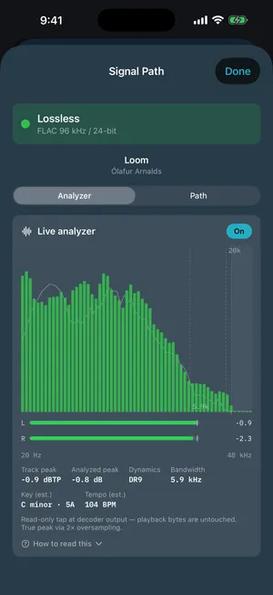 1-bit's live analyzer — a real-time spectrum with left and right peak bars, track peak, analyzed peak, dynamic range, bandwidth, and estimated key and tempo