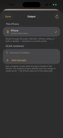 1-bit's Output screen showing 'This iPhone' routing to a USB DAC, plus a DLNA renderers section